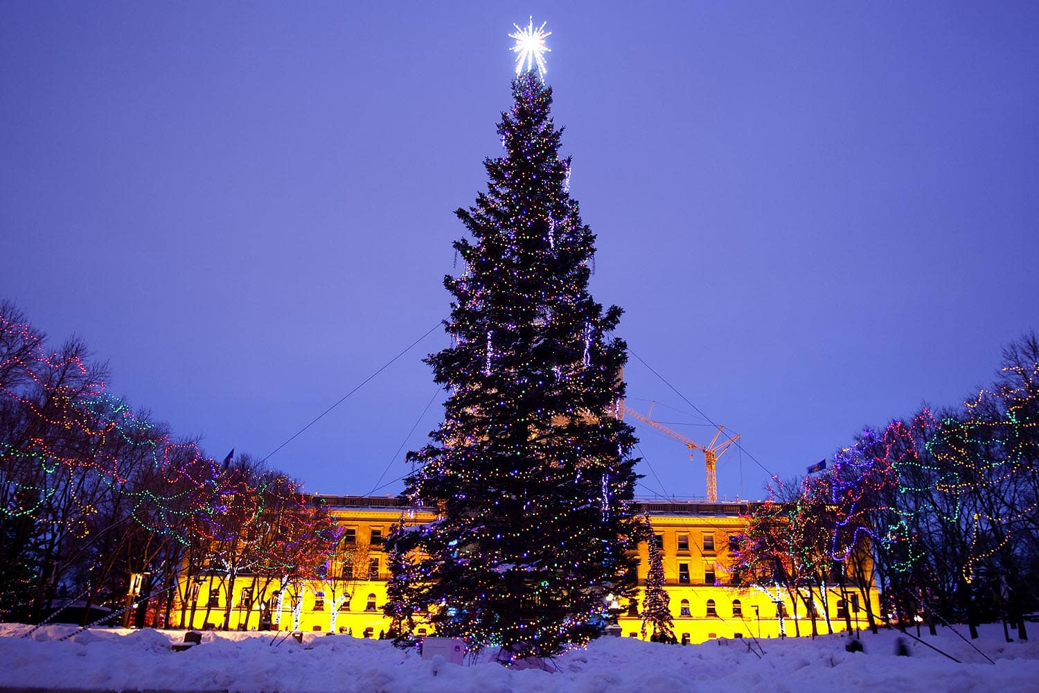 alberta-legislature-trees