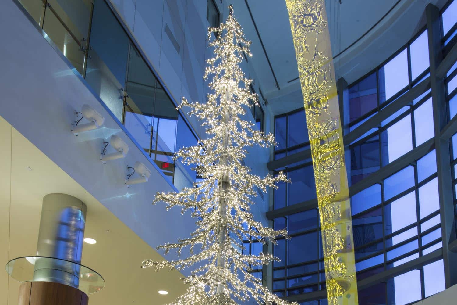 mazankowski-heart-institute-tree-closeup