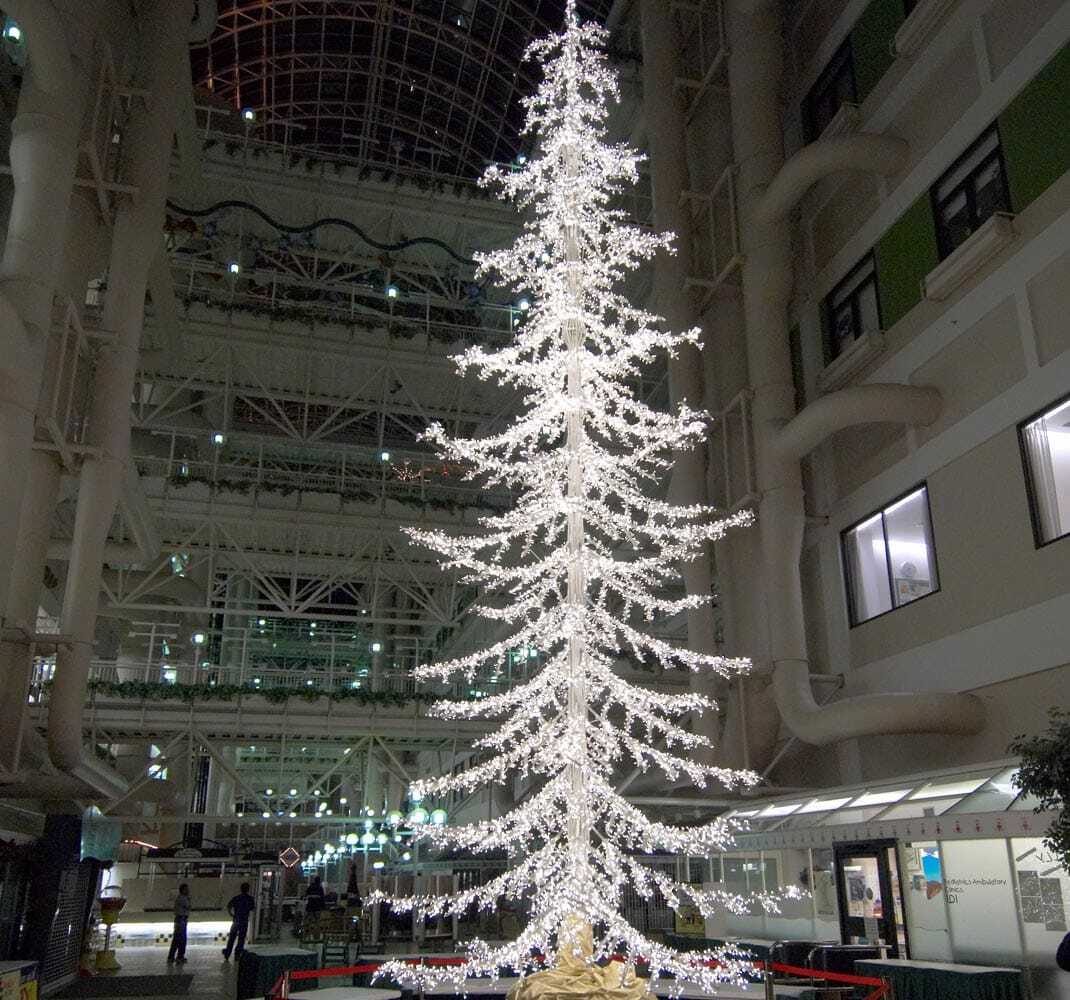 university-of-alberta-hospital-tree