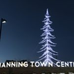 manning-town-centre-tree-blue-sky