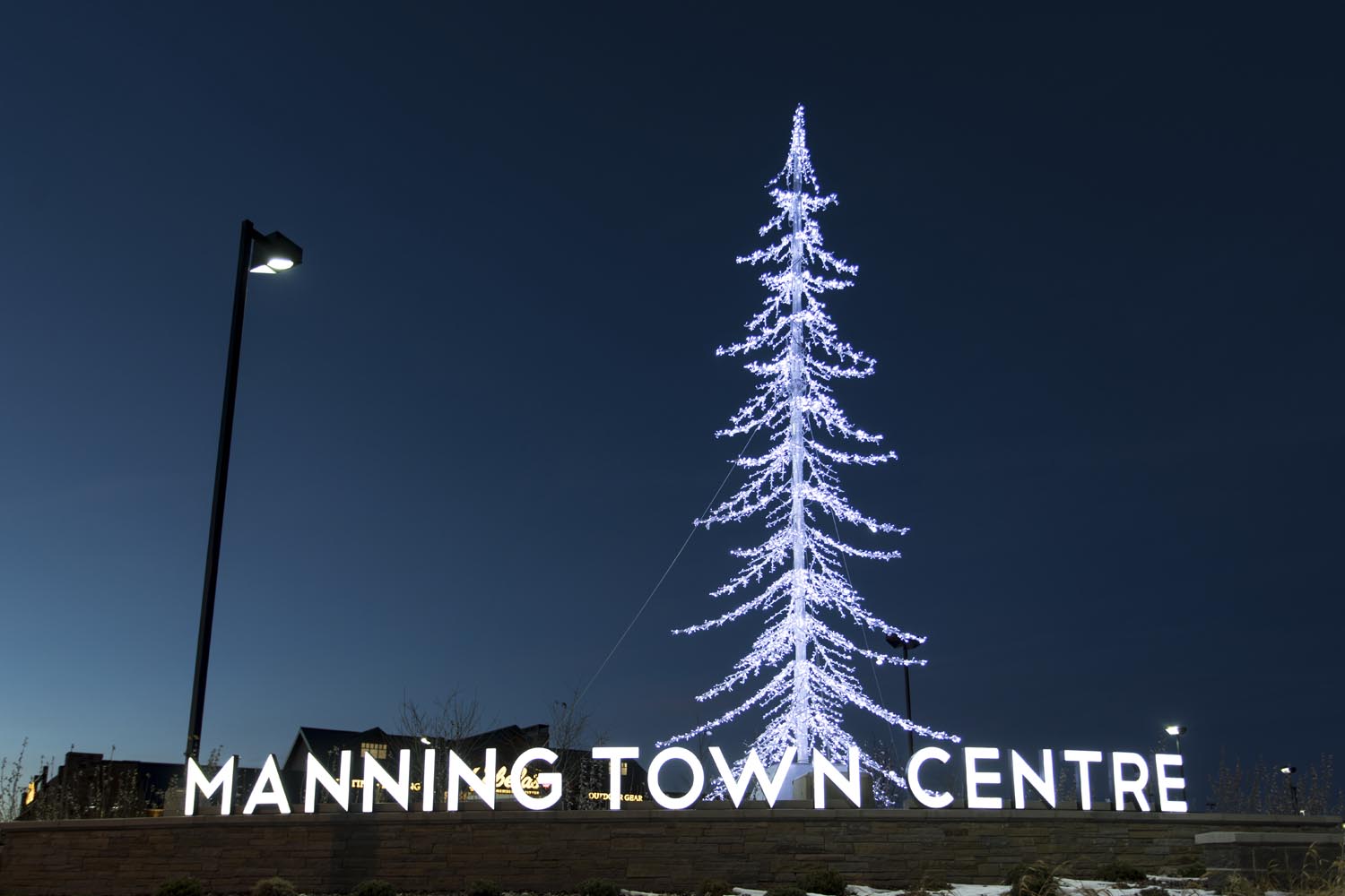 manning-town-centre-tree-blue-sky