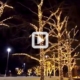 South Centre Mall Trees Video